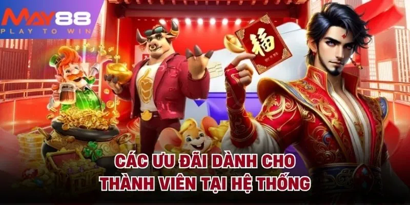 Các ưu đãi dành cho thành viên tại hệ thống